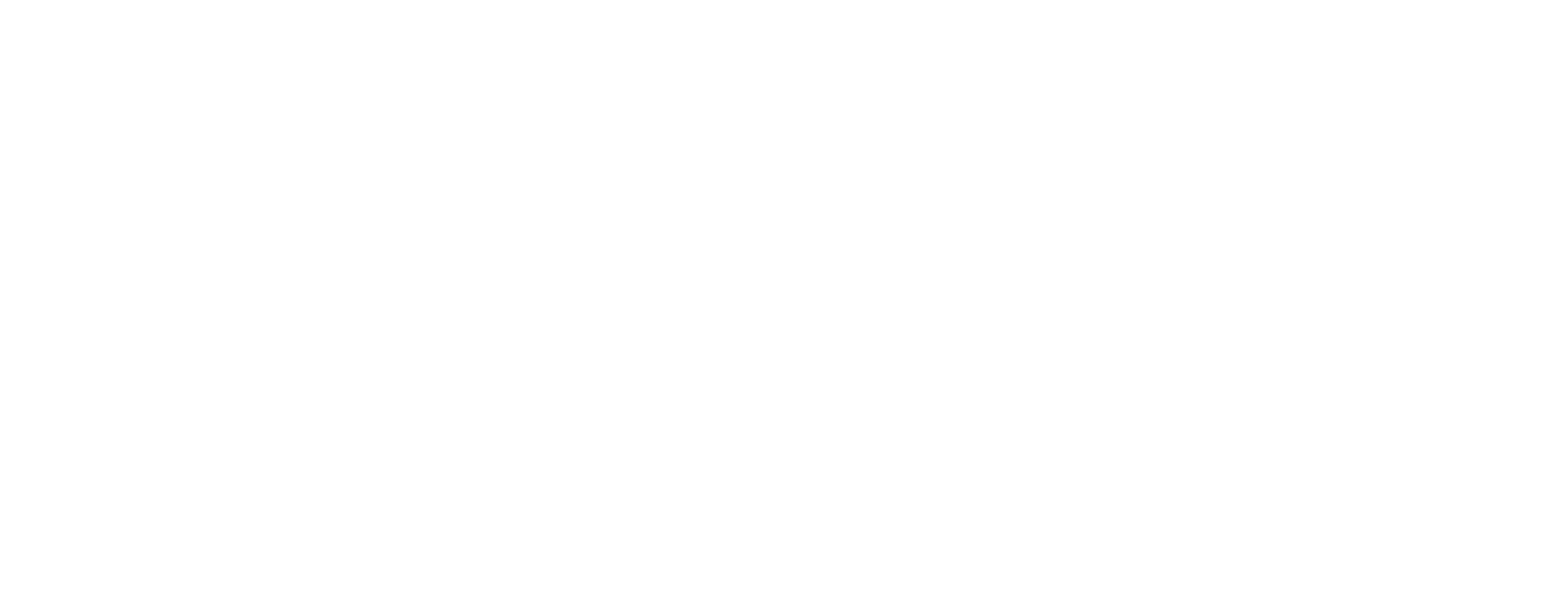 Premium Roofing
