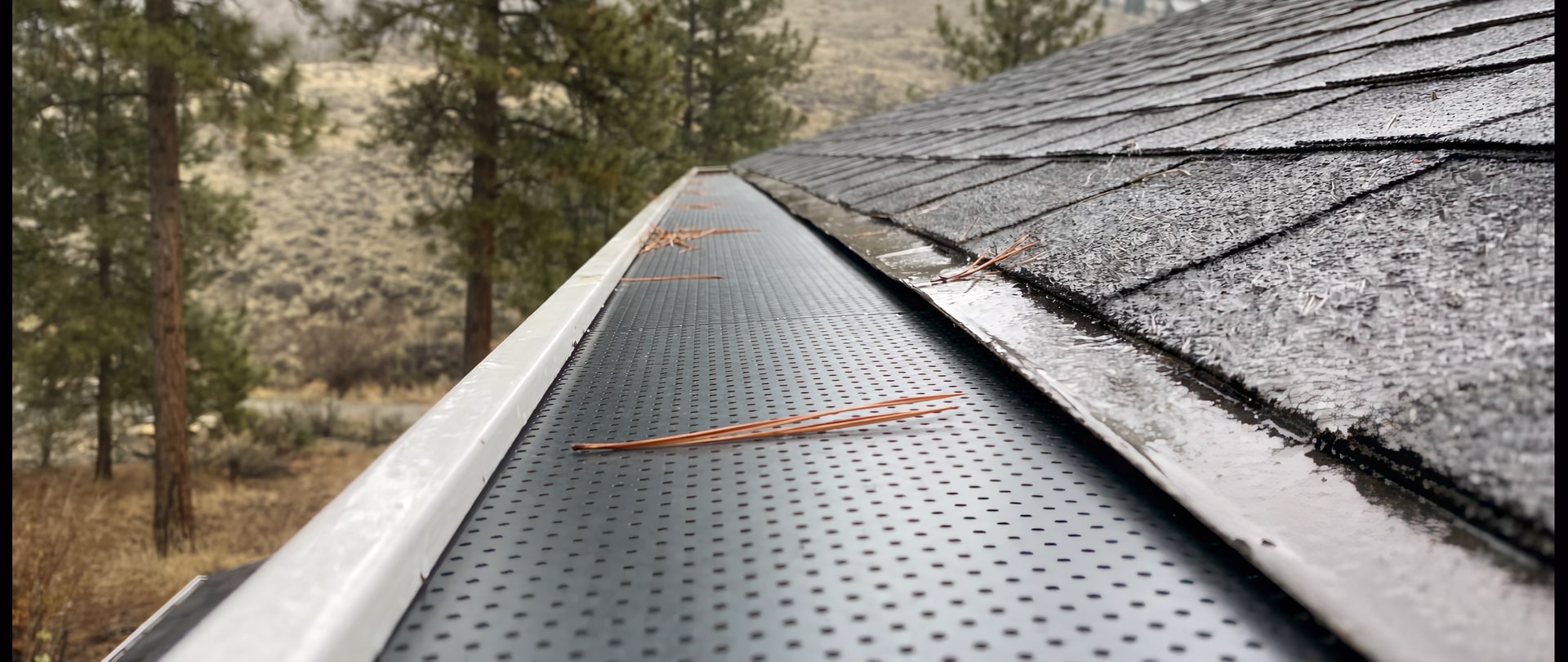 The same gutter with a perforated guard fitted over the trough, pine needles resting on top of it and the gutter clear underneath
