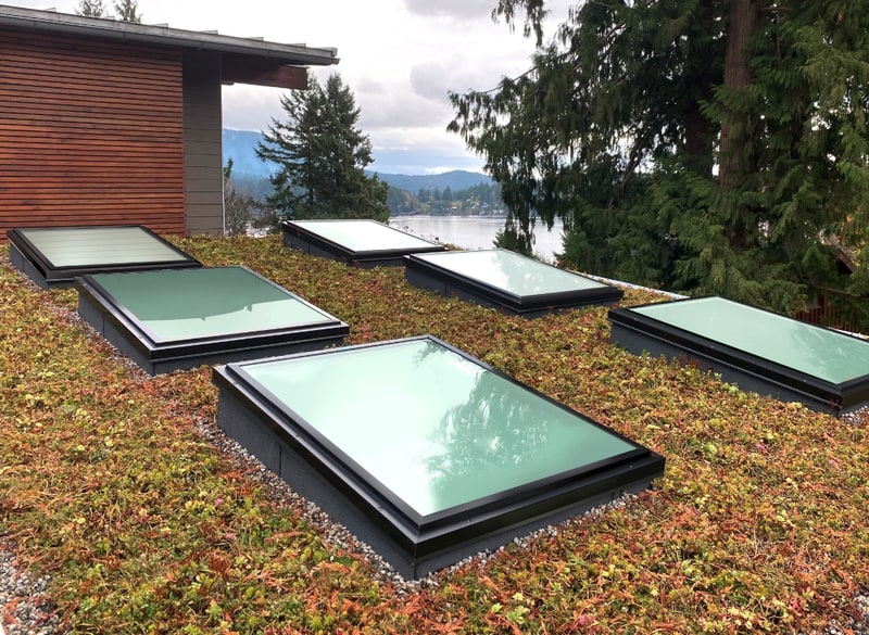 Curb-mounted fixed skylights set into a low-slope living roof