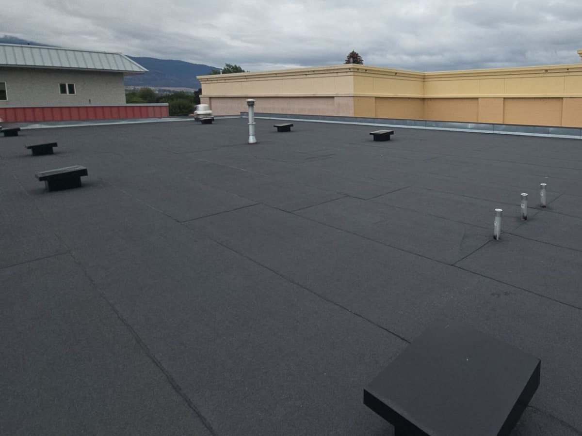 New black torch-on roof across a commercial building, vents and curbs flashed in, hills beyond